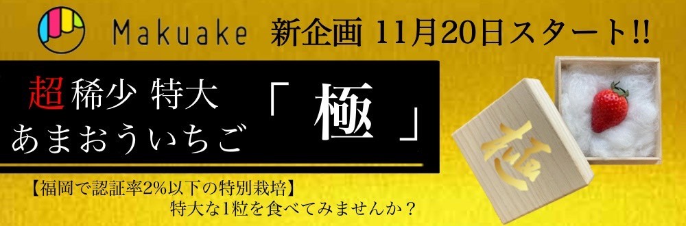 あまおういちご「極」