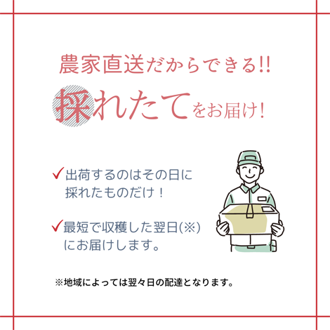 農家直送だからできる!!採れたてをお届け!