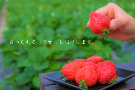 食べられる「幸せ」をお届けします。